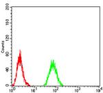 RAB11FIP1 Antibody in Flow Cytometry (Flow)