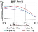 RAB11FIP1 Antibody in ELISA (ELISA)