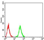 RAB11FIP1 Antibody in Flow Cytometry (Flow)