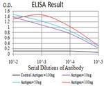 RAB8A Antibody in ELISA (ELISA)