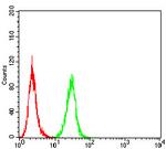 RAB8A Antibody in Flow Cytometry (Flow)