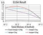 RAD21 Antibody in ELISA (ELISA)