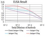 RAD23A Antibody in ELISA (ELISA)