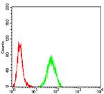 RAD23A Antibody in Flow Cytometry (Flow)