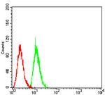 SIRT7 Antibody in Flow Cytometry (Flow)