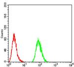 SPHK2 Antibody in Flow Cytometry (Flow)