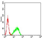 SMARCA1 Antibody in Flow Cytometry (Flow)