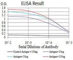 SMARCA1 Antibody in ELISA (ELISA)