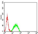 SMARCA1 Antibody in Flow Cytometry (Flow)