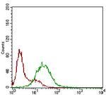 SSTR3 Antibody in Flow Cytometry (Flow)