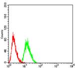 Synapsin 1 Antibody in Flow Cytometry (Flow)