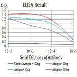 AS160 Antibody in ELISA (ELISA)