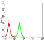 TCF4 Antibody in Flow Cytometry (Flow)