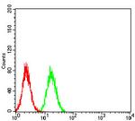 TRIM25 Antibody in Flow Cytometry (Flow)