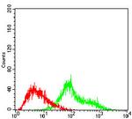 TUBE1 Antibody in Flow Cytometry (Flow)