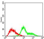 TUBE1 Antibody in Flow Cytometry (Flow)