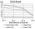 UCP2 Antibody in ELISA (ELISA)