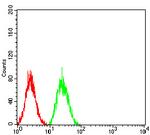 SELS Antibody in Flow Cytometry (Flow)