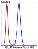 GLUT1 Antibody in Flow Cytometry (Flow)