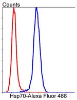 HSP70 Antibody in Flow Cytometry (Flow)