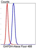 GAPDH Antibody in Flow Cytometry (Flow)