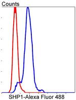 SHP-1 Antibody in Flow Cytometry (Flow)