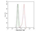 CDK2 Antibody in Flow Cytometry (Flow)