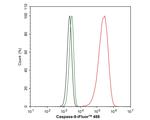 Caspase 9 Antibody in Flow Cytometry (Flow)