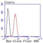 Bax Antibody in Flow Cytometry (Flow)