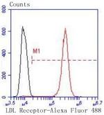 LDLR Antibody in Flow Cytometry (Flow)