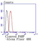 PARP1 (cleaved Asp214) Antibody in Flow Cytometry (Flow)