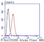 Phospho-SRC (Tyr419) Antibody in Flow Cytometry (Flow)