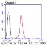 Aurora A Antibody in Flow Cytometry (Flow)