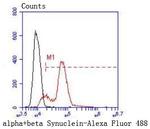 Synuclein alpha/beta Antibody in Flow Cytometry (Flow)