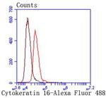 Cytokeratin 16 Antibody in Flow Cytometry (Flow)