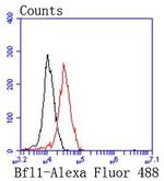 BCL2A1 Antibody in Flow Cytometry (Flow)