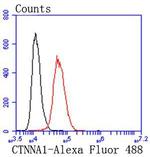 Catenin alpha-1 Antibody in Flow Cytometry (Flow)