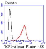 TOP1 Antibody in Flow Cytometry (Flow)