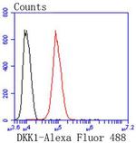 DKK1 Antibody in Flow Cytometry (Flow)