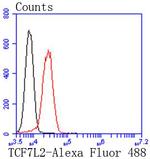 TCF7L2 Antibody in Flow Cytometry (Flow)