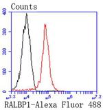 RALBP1 Antibody in Flow Cytometry (Flow)