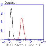 HES1 Antibody in Flow Cytometry (Flow)