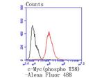 Phospho-c-Myc (Thr58) Antibody in Flow Cytometry (Flow)