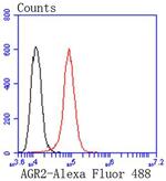 AGR2 Antibody in Flow Cytometry (Flow)