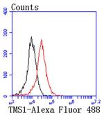 PYCARD Antibody in Flow Cytometry (Flow)