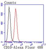 CD10 Antibody in Flow Cytometry (Flow)