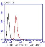 CD81 Antibody in Flow Cytometry (Flow)