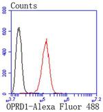 OPRD1 Antibody in Flow Cytometry (Flow)