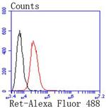 RET Antibody in Flow Cytometry (Flow)