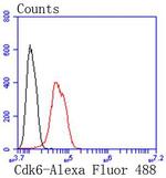 CDK6 Antibody in Flow Cytometry (Flow)